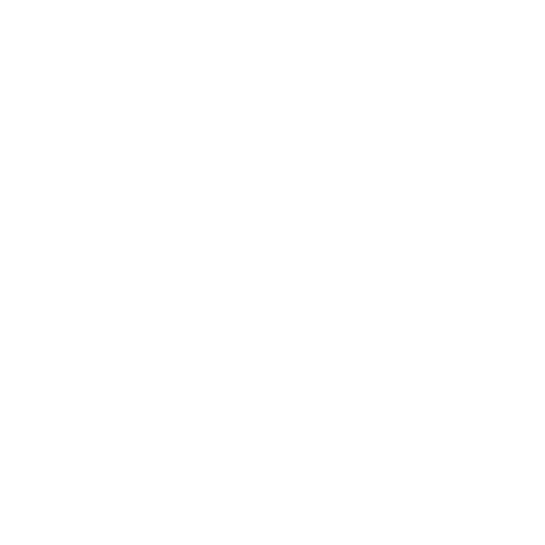 Inclusion is now a professional standard